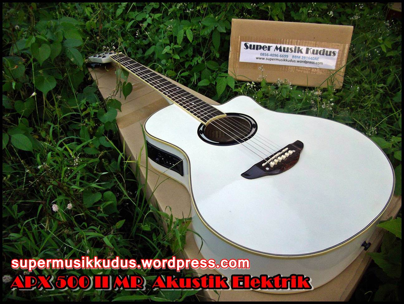 ... gitar murah gitar akustik bagus harga gitar akustik harga apx500 gitar