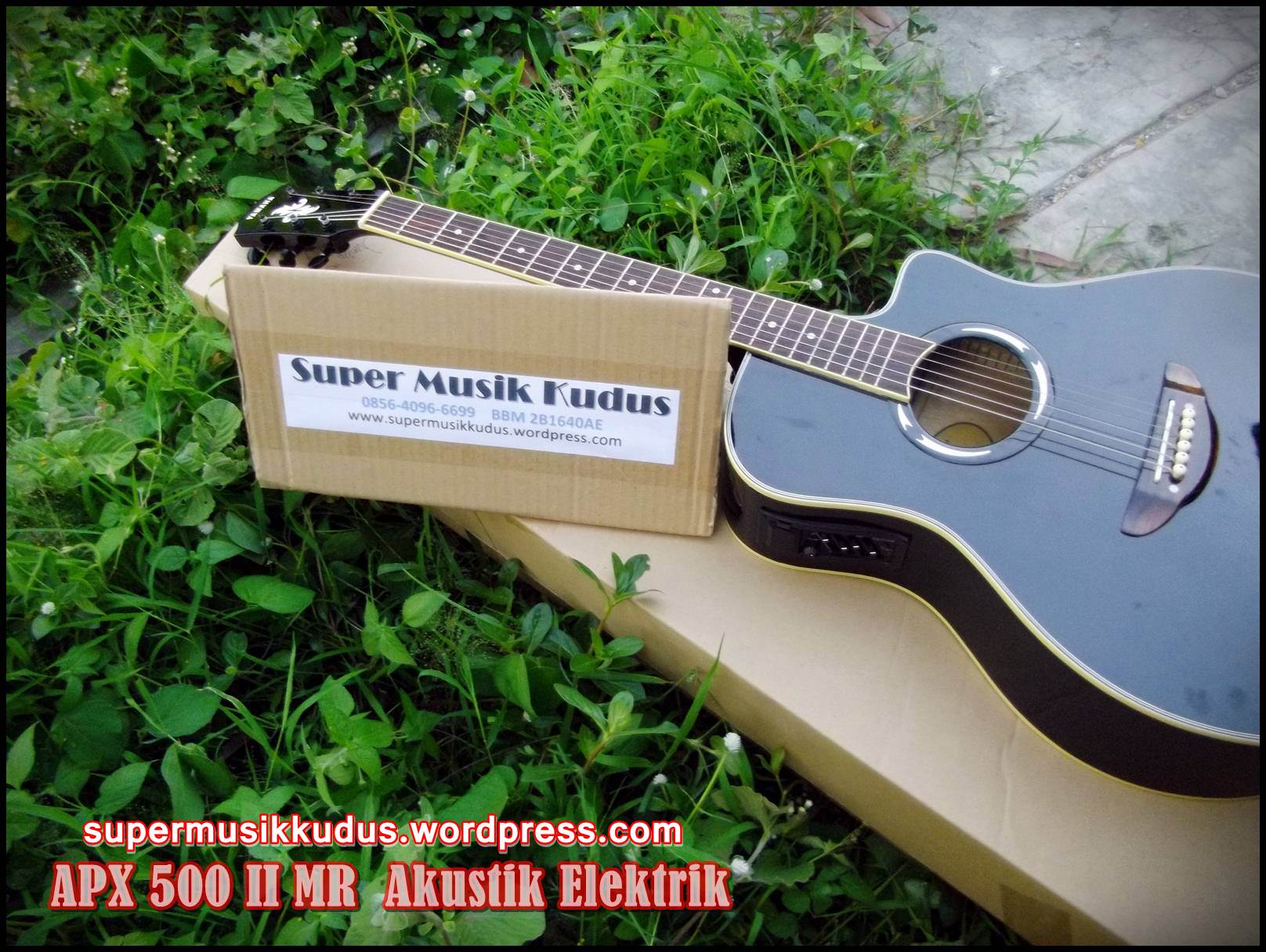 Harga Gitar Akustik Elektrik Yamaha Apx 500 - Harga Yos